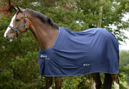 Bucas Shamrock Power kuivatusloimi - Talliloimet ohuet - bu60415 - 2