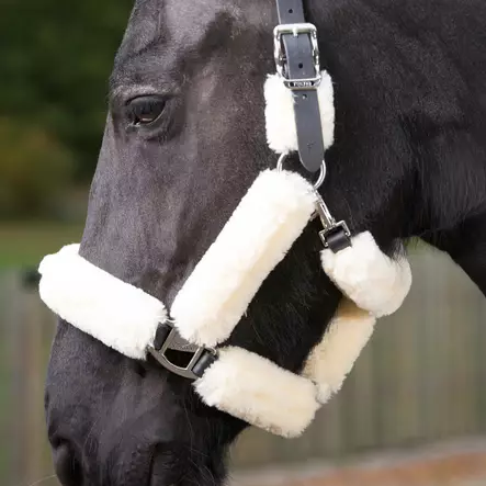 Karvariimu Tekna - Nylongrimmor - glo40405 - 2