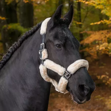 Karvariimu Tekna - Nylongrimmor - glo40405 - 1