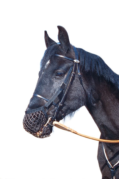 Pullarinverkko - Skyggläder & jordbländar - 01225 - 1