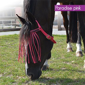 QHP Kärpäshapsu leukahihnalla Summer - Flughuvor & -pannband - qhp5035 - 1