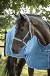 Bucas Dublin nailonriimu blueberry - Nylonriimut  - bu41230-85 - 1