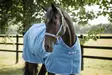 Bucas Dublin nailonriimu blueberry - Nylonriimut  - bu41230-85 - 3