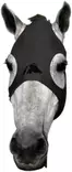 Fenwick Liquid Titanium mask - Ridhuvor - ft328545 - 1