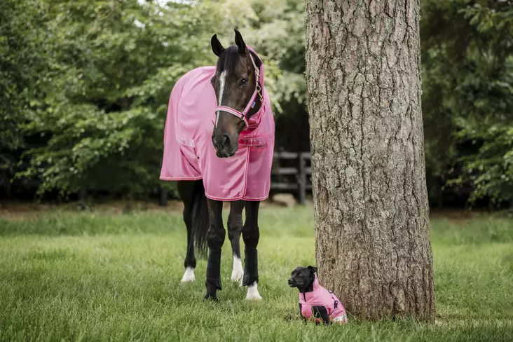 Bucas Freedom hyönteisloimi aurora pink - Hyönteisloimet - bu43445-75 - 1