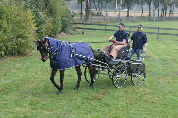 Ajoloimi fullneck sade hevoselle - Ajoloimet - WDR175 - 1