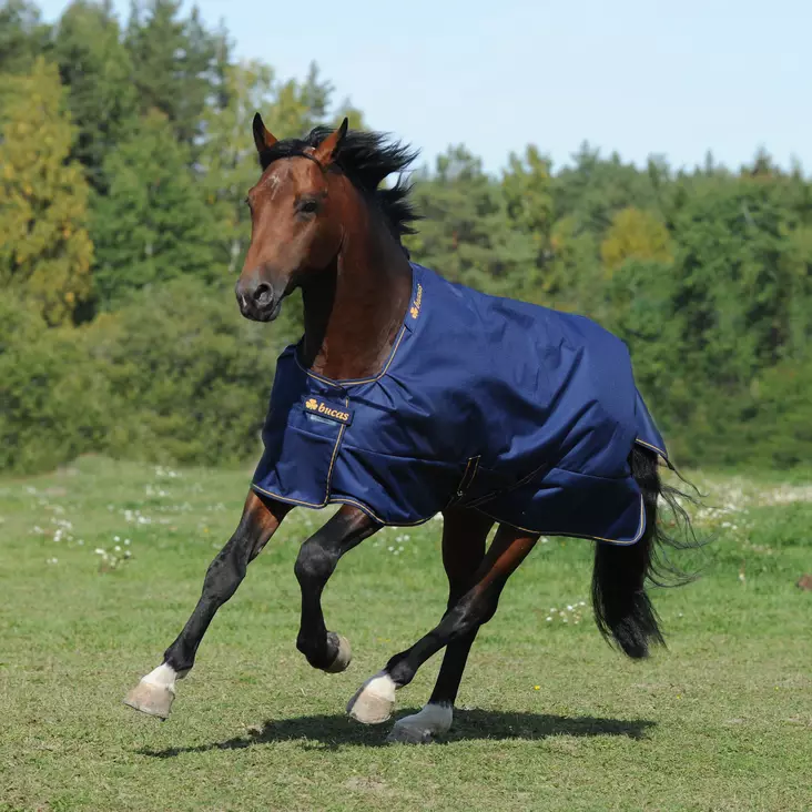 Bucas Irish Turnout light 50g regntäcke - Rengtäcken - bu65635 - 1