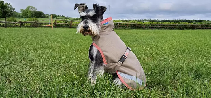 Bucas hundtäcke 50g Hazelnut - Hundkläder - buz28125 - 1