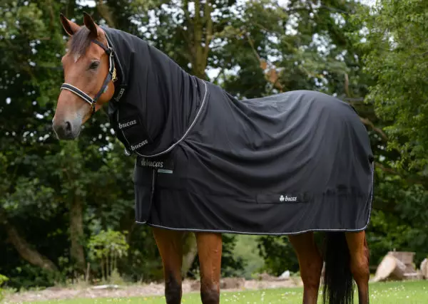 Bucas Power Cooler talliloimi+ kaulapala - Talliloimet ohuet - bu63215 - 1