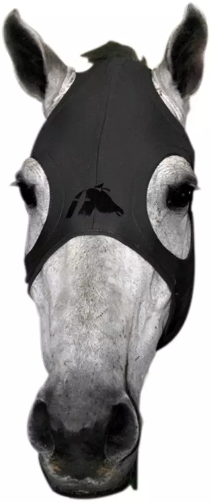 Fenwick Liquid Titanium mask - Ridhuvor - ft328545 - 1