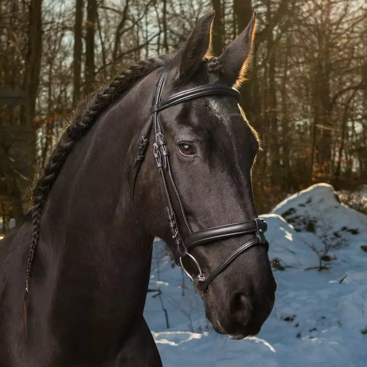 Globus Super Soft suitset - Suitset - glo4415 - 1