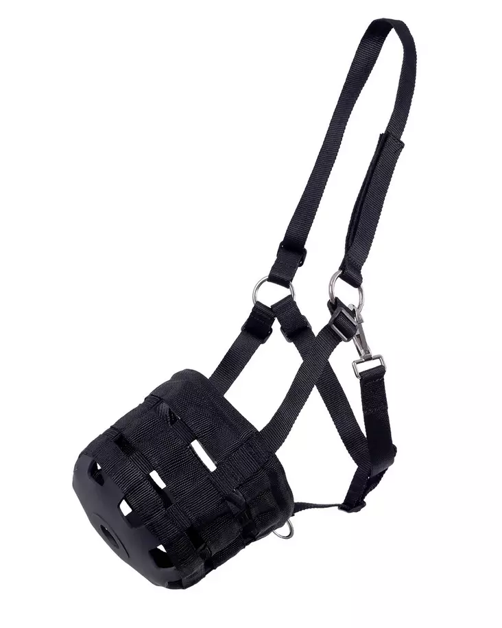 Hevosen kuonokoppa riimulla - Kuonokopat, imppauspannat ja kaulapannat - qhp5105 - 1