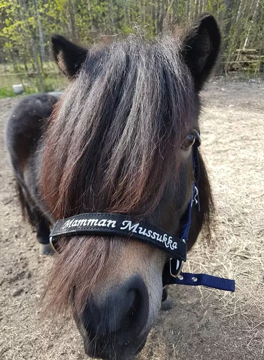 Nylongrimma mamman mussukka navy-silver - Nylongrimmor - qhpmamman25 - 1