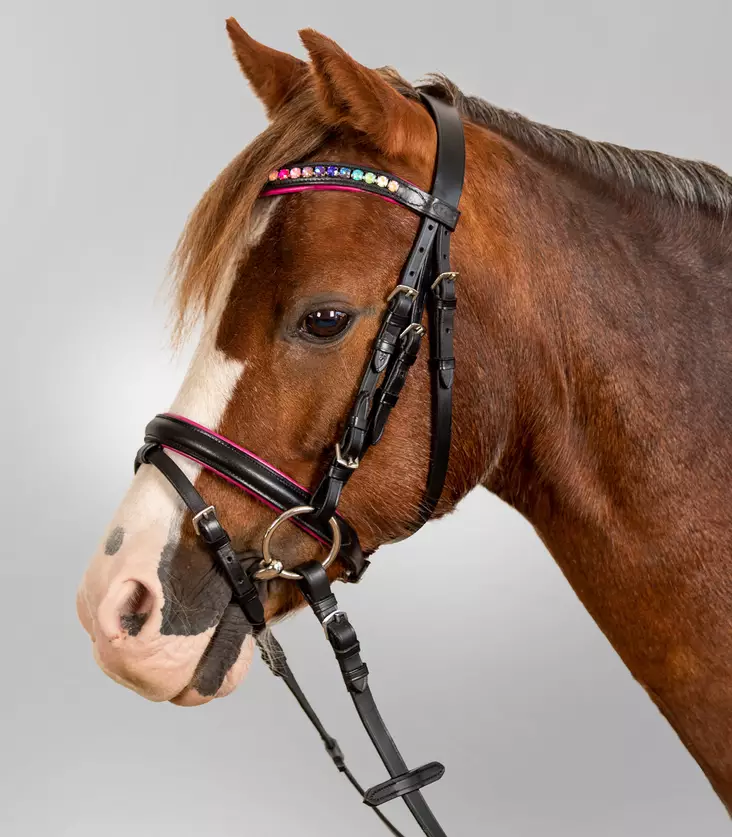 Pinky Star suitset ponille musta - Suitset - wh81425 - 1