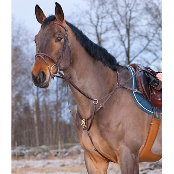 Rintaremmimartingaali Stockholm Kingston - Apuohjat - 2315 - 1