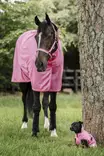 Bucas Freedom ponin hyönteisloimi pink - Hyönteisloimet - buZ43405-26 - 2