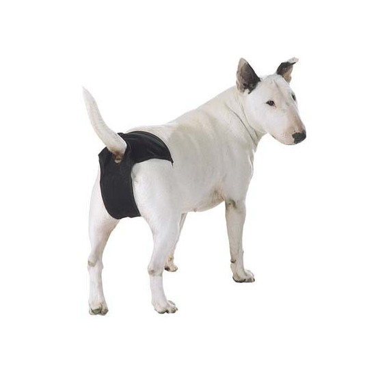 Koiran juoksuhousut - Hälsovård - 5716 - 1