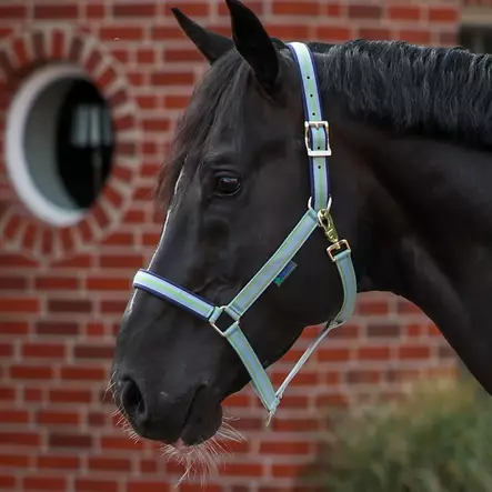 Bucas Dublin nylongrimma Cool blue - Nylongrimmor - bu41200-87 - 1