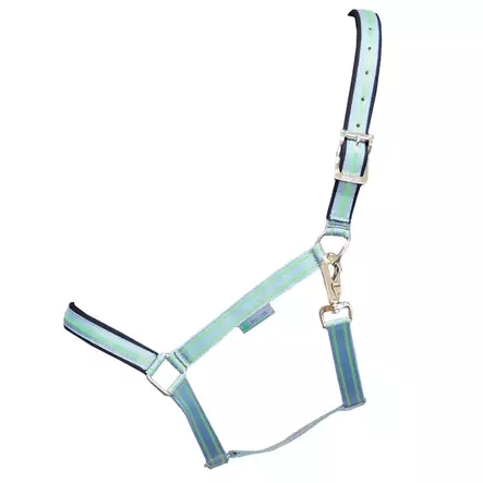 Bucas Dublin nylongrimma Cool blue - Nylongrimmor - bu41200-87 - 2