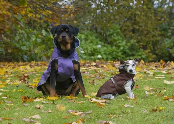 Bucas regntäcke hund 30-45cm lila+brun - Hundkläder - bu28145-17 - 1