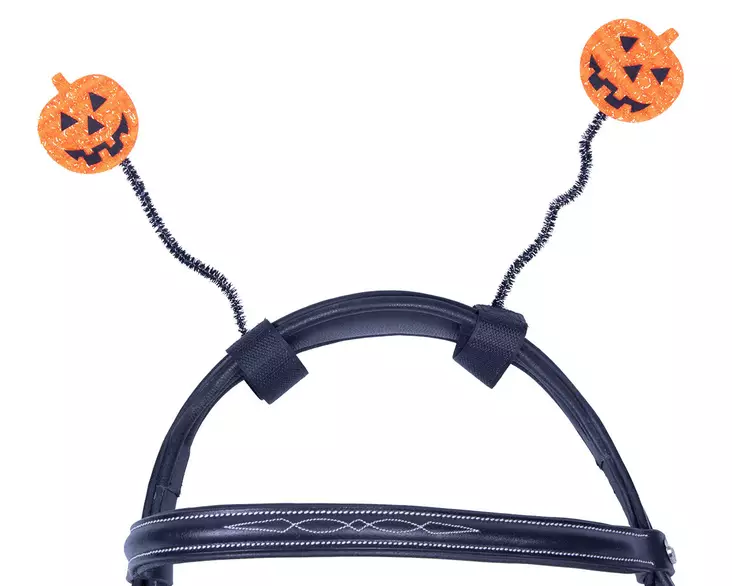 Halloween suitsikoristeet - Suitsien osat - qhp8547 - 1