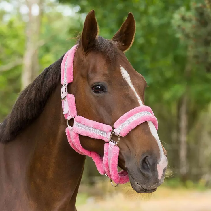 Karvariimu timanteilla Full - Nylonriimut - glo403487 - 1