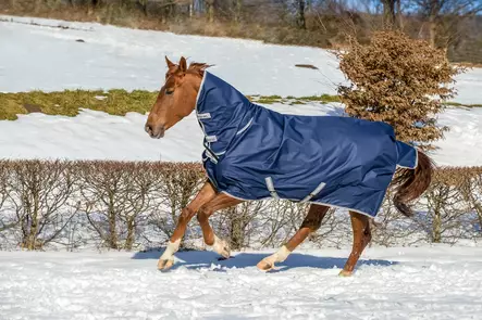 Bucas Freedom FN sadeloimi 150g ponille - Rengtäcken - bu66305-18 - 2