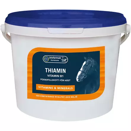 Eclipse Thiamin B1 vitamiini 1kg - Vitamiinit - fh73308 - 1