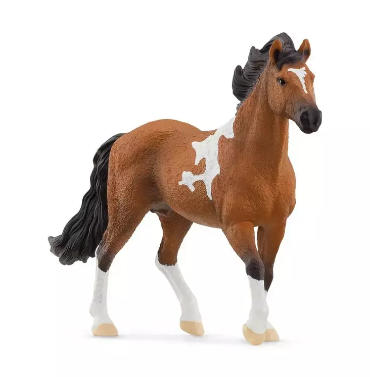 Schleich hevonen Mangalarga Marchador - Lelut - 13978 - 1