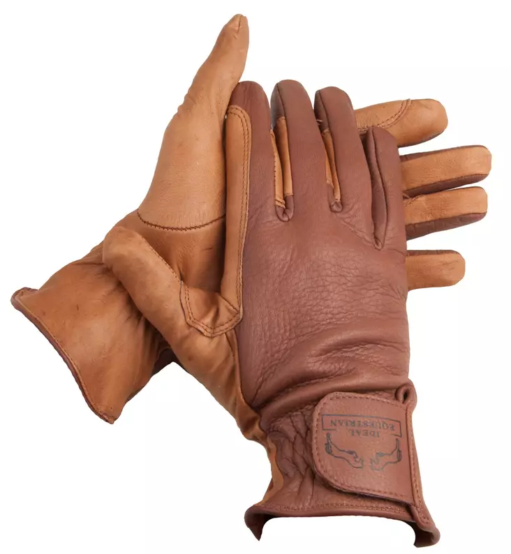 Körhandskor Ideal van de Kamp läder - Ajohanskat - H22368 - 1