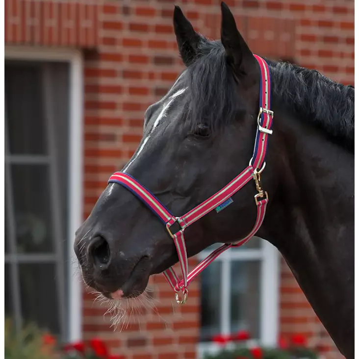 Bucas 4Dublin nailonriimu Fuksia - Nylonriimut - bu41200-88 - 1