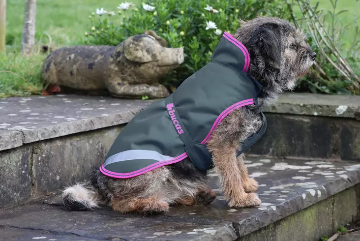 Bucas koirantakki 150g toppaus charcoul - Koiran vaatetus - bu288 - 1