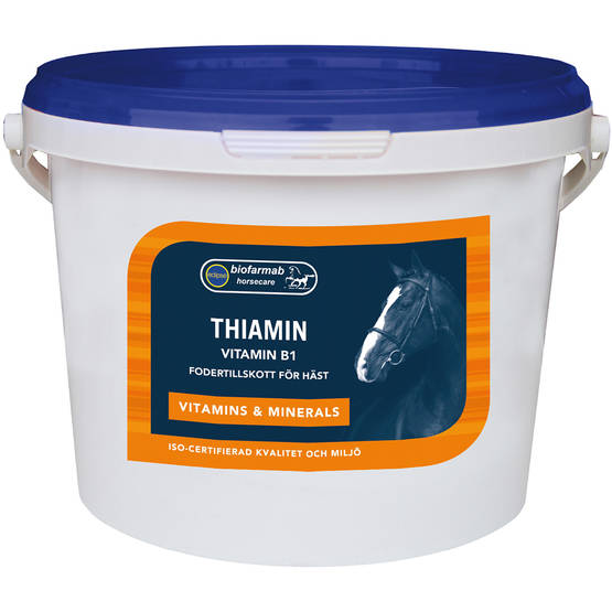 Eclipse Biofarmab Thiamin Vitamin B 1kg - Vitaminer - fh73308 - 1