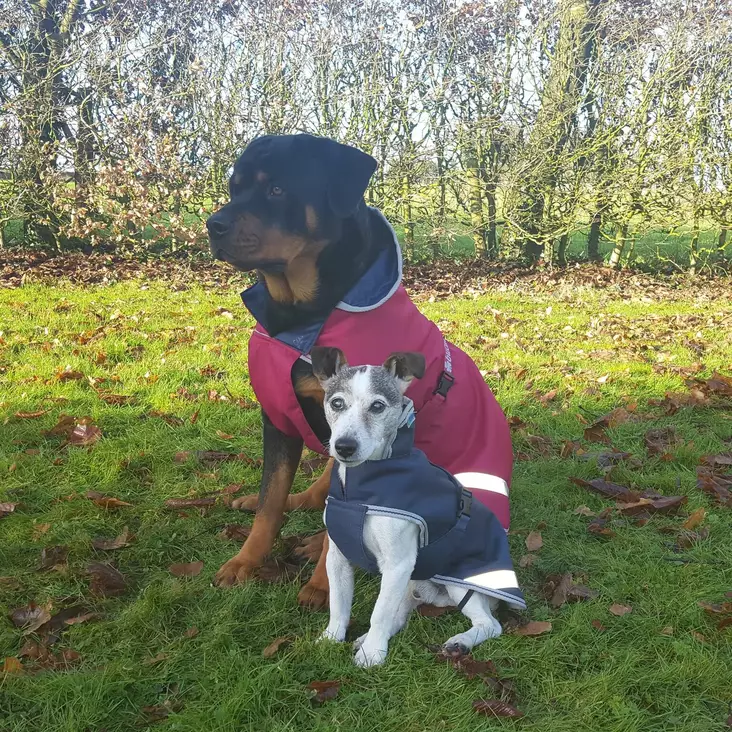 Koiran talvitakki 300g 30-45cm AW18 - Hundkläder - bu28230-18 - 1