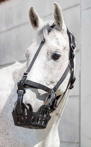 Nailonriimu GG kuonokopan kiinnitykseen - Nylonriimut  - 3038 - 1