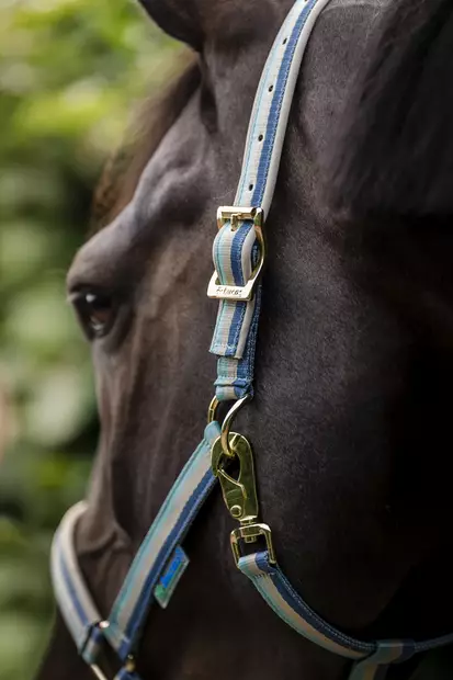 Bucas Dublin nailonriimu turquoise ss26 - Nylonriimut  - bu4120069 - 2