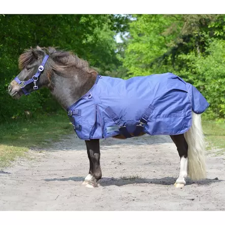 QHP sadeloimi Falabella - Rengtäcken - qhp6139 - 1