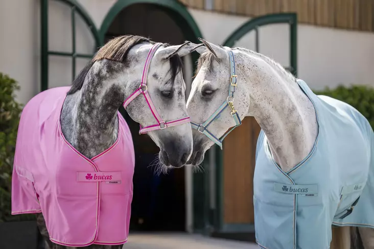 Bucas Dublin nailonriimu turquoise ss26 - Nylonriimut  - bu4120069 - 1