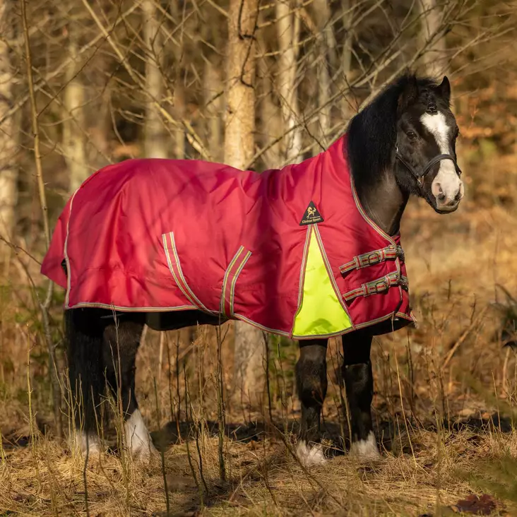 Globus ponny highneck regn- & utegångtäcke 100g fyllning - Poniloimet - gloU00349 - 2