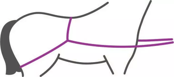 QHP lastausapuliina - Traileriin ja vieraskarsinaan - qhp1059 - 1