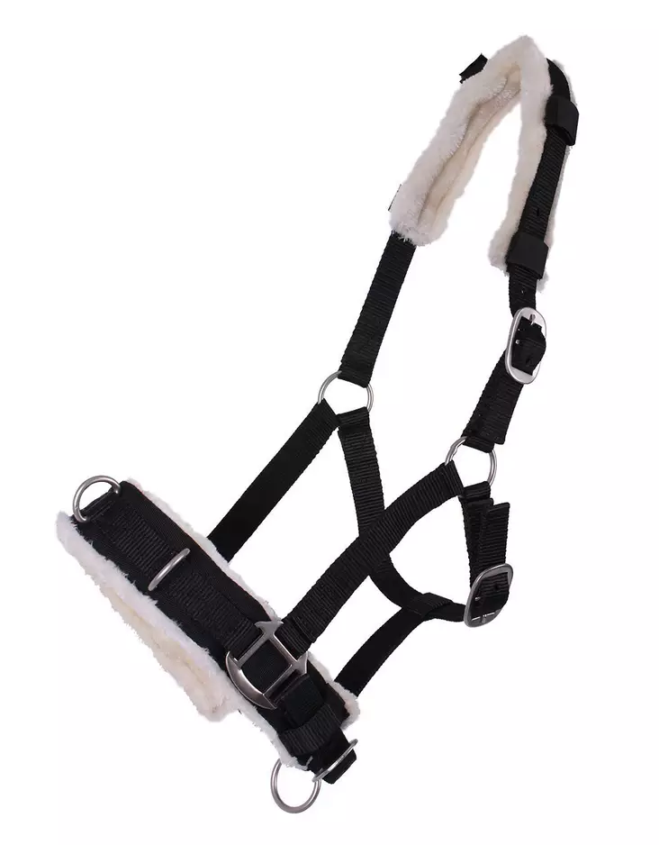 Kapsoni QHP Colours musta - Sivuohjat ja muut juoksutustarvikkeet - qhp1668musta - 1