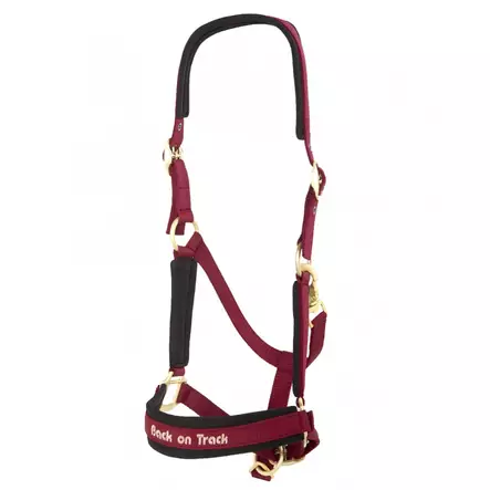 Back on Track riimu Werano viininpunaine - Nylonriimut - bot2064-wine - 1
