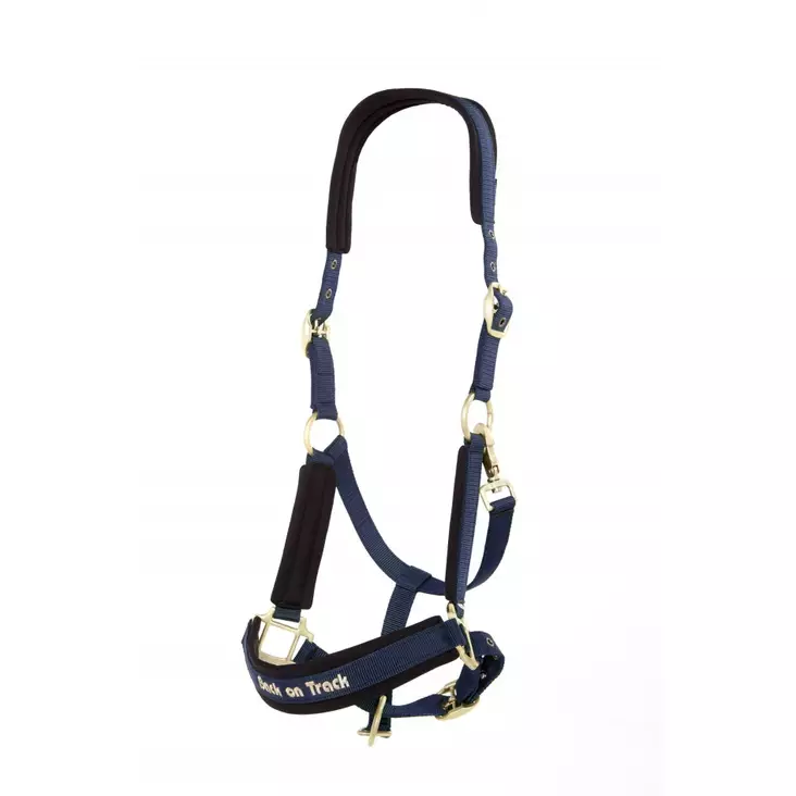 Back on Track riimu Werano sininen - Nylonriimut - bot2064-blue - 1