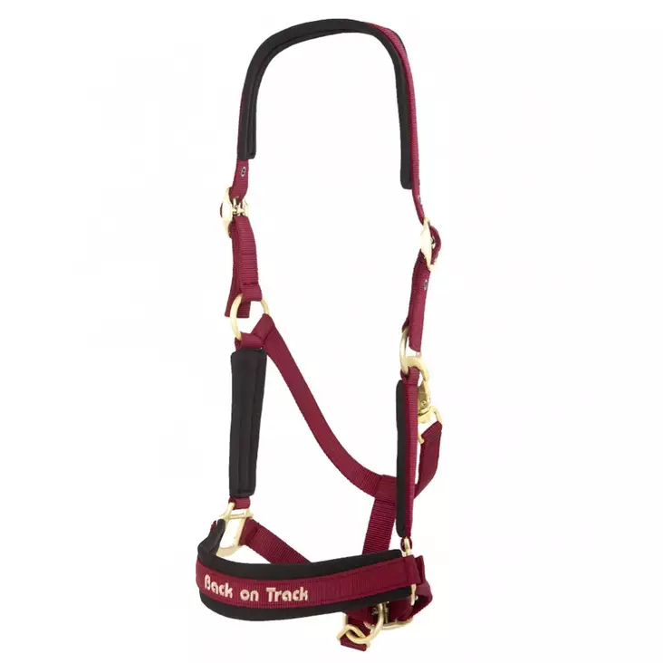 Back on Track riimu Werano viininpunaine - Nylonriimut - bot2064-wine - 1
