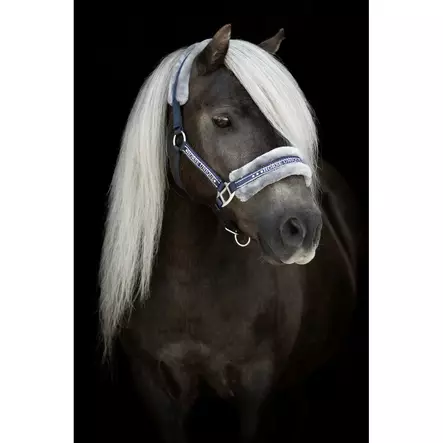 Teddy grimma Horse Unique shetty - Nylongrimmor - kq2430sh - 1