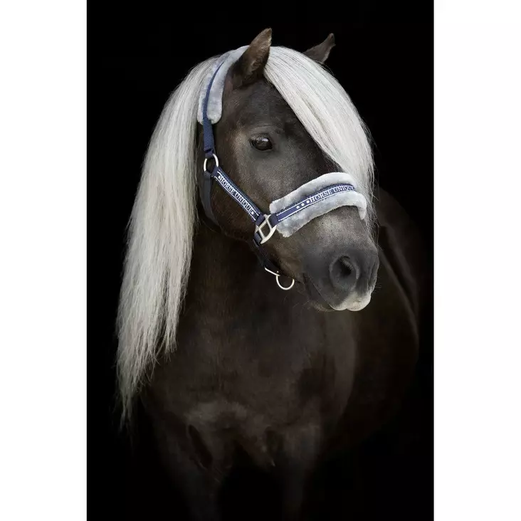 Karvariimu Horse Unique Shettis - Nylonriimut  - kq2430sh - 1