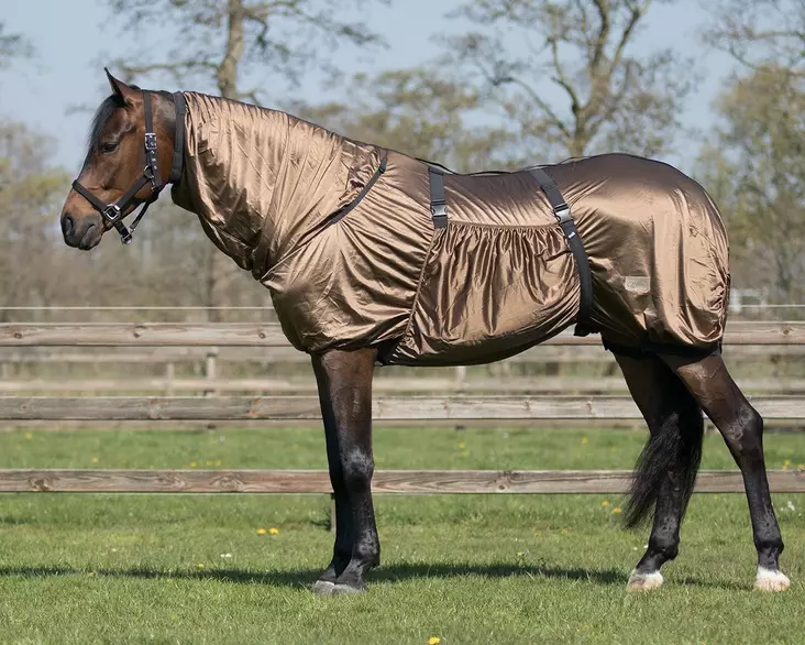 Ihottumaloimi QHP Ekseema ruskea - Hyönteisloimet - qhp6060-brown - 2