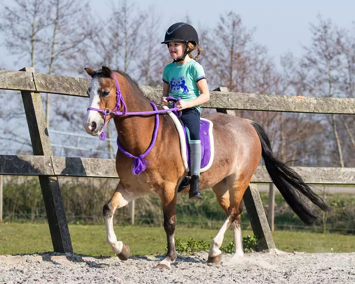 Ratsastuspad QHP Bareback ponille - Sadelpaddar till bomlös sadlar - qhp3147p - 1