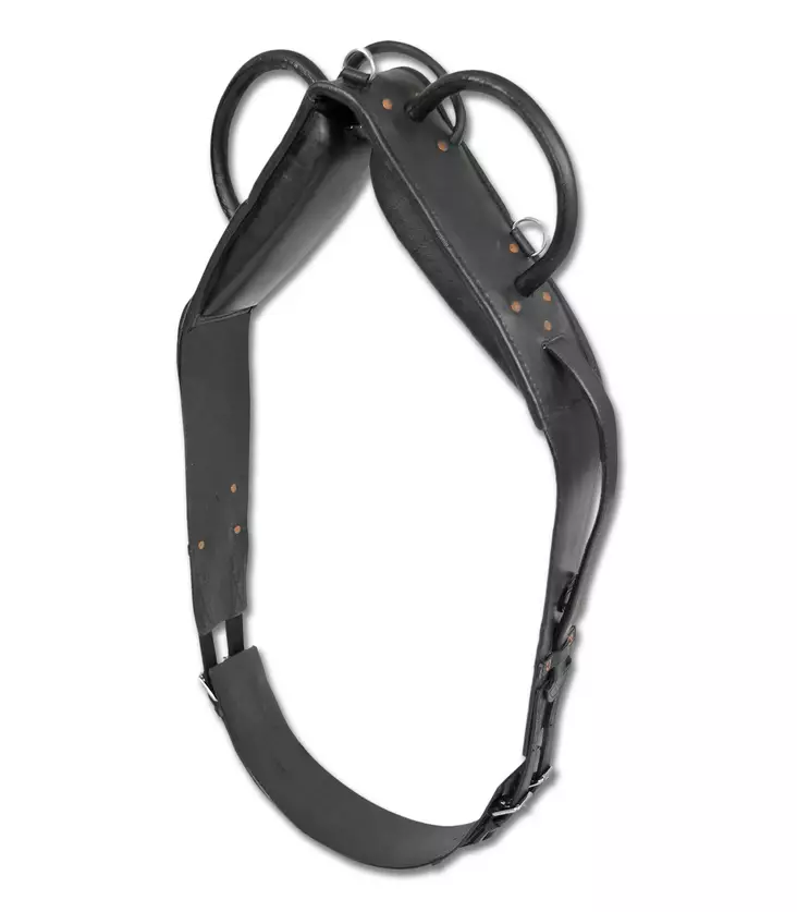 Vikellysvyö ponille - Longergjordar & tömkörningsgjordar - wh60800p - 1