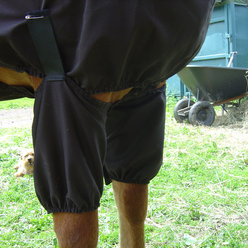 Boett etujalkojen suojat ihottumaloimeen - Eksemhuvor - Boettlahkeet - 1